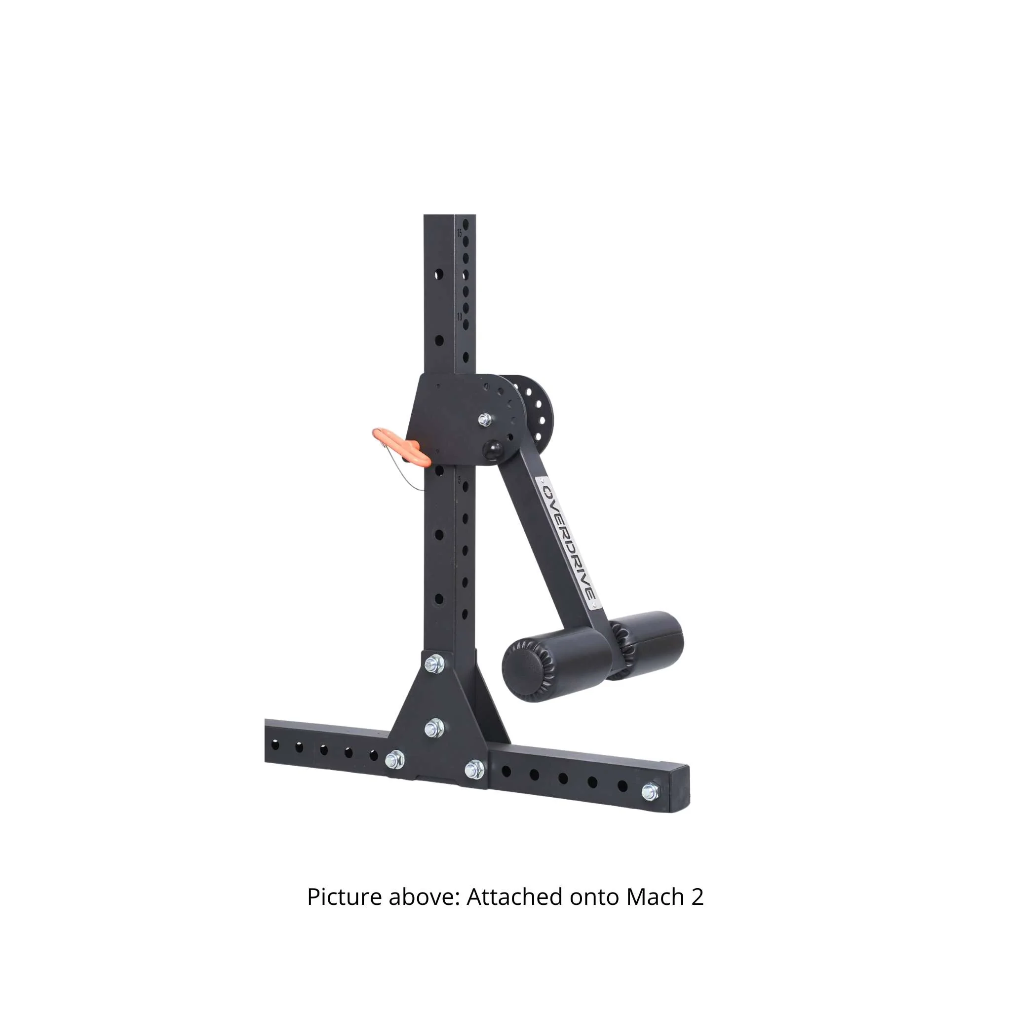 OVERDRIVE Nordic Curl / Split Leg Roller Attachment Kit for Overdrive Mach Series and Commercial Light Power Racks - Image 6